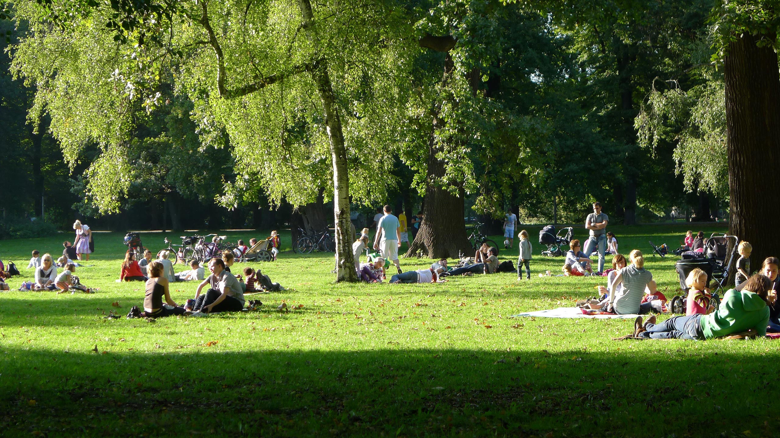 KV Leipzig Land